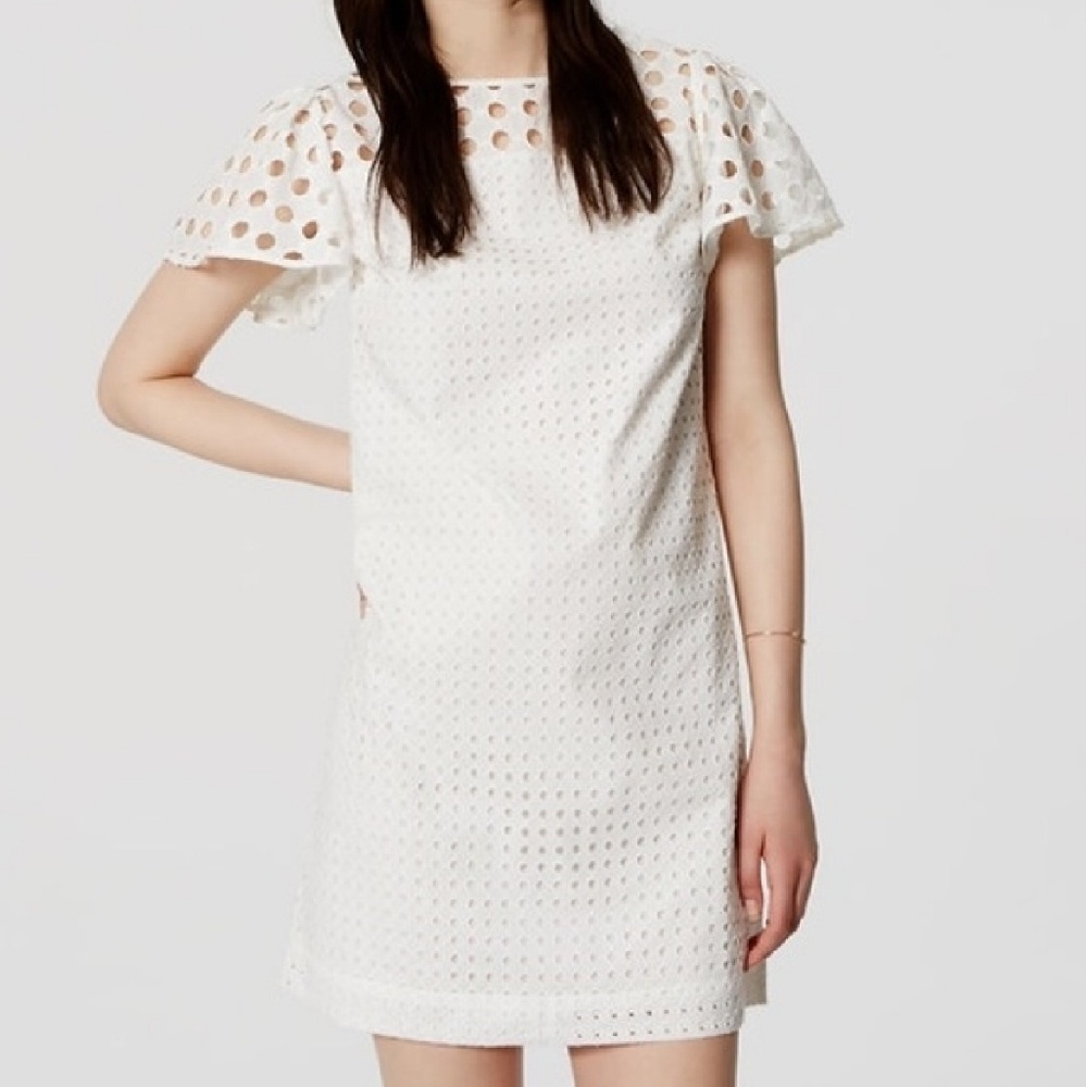 New With Tag Loft White Eyelet Dress. Size 8P
